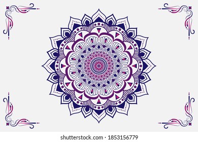 Flower luxury ornament mandala vector with blue pink color