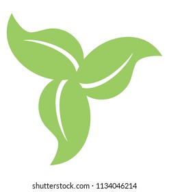 
A flower made by using three leaves, this is ecology leaves structure 
