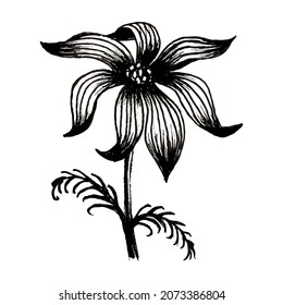 La flor está hecha con un fondo blanco