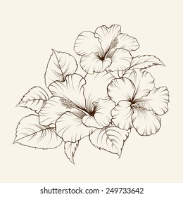 Flower of mallow on a white background. Vector illustration