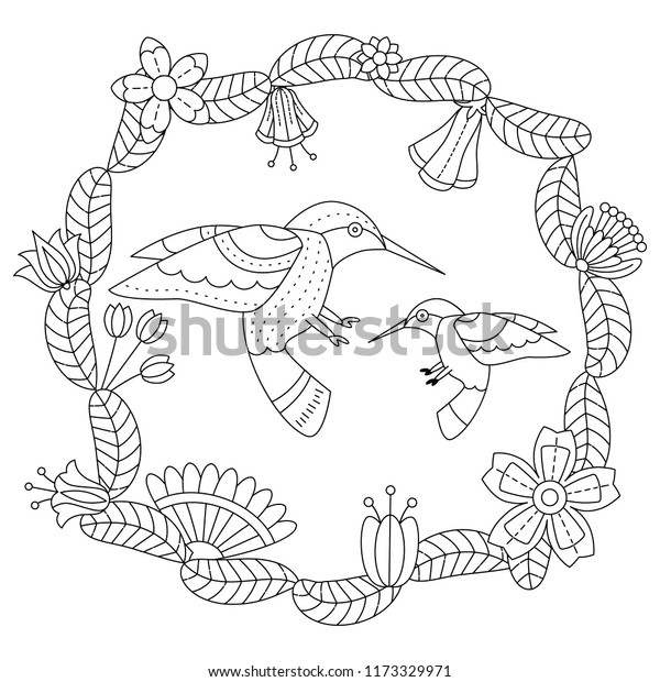 520 Top Bird Coloring Pages Mandala  Images