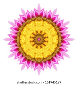 Flower mandala of geometric shapes. Vector colorful mosaic.