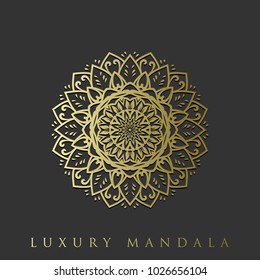 Flower Mandala. Vintage decorative elements. Oriental pattern, vector illustration. Islam, Arabic, Indian, moroccan,spain, turkish, pakistan, chinese, mystic, ottoman motifs. Vector illustration