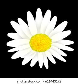 Flower Marguerite Spring Icon