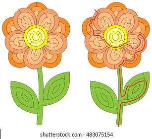 Flower maze for kids with a solution