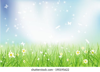 Flower Meadow