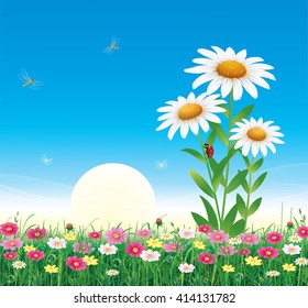 Flower Meadow Daisies On Background Blue Stock Vector (Royalty Free ...