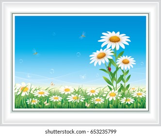 Flower meadow with daisies on a background of blue sky. Vector illustration