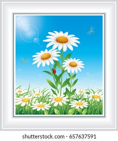 Flower meadow with daisies on a background of blue sky. Vector illustration