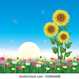 Flower meadow with daisies and sunflowers