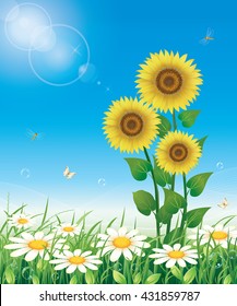 Flower meadow with daisies and sunflowers