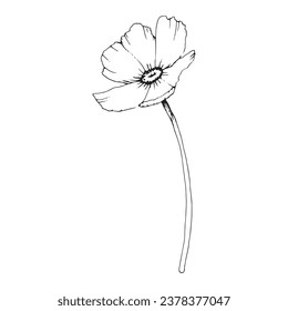 Flower meadow field petals symbol health meditation black line outline graphic