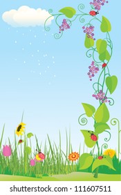 Flower meadow with ladybugs