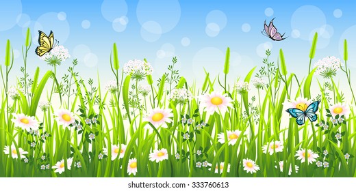 Flower meadow in summer with butterfly
