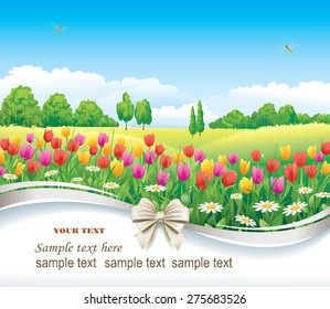 Flower meadow with tulips and daisies