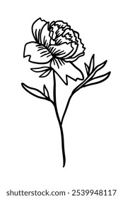 Flower monochrome one line. Minimalist contour drawing. hand drawing. Not AI, Vector illustration.