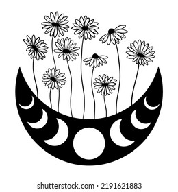 Flower moon phases.Moon with daisies. Floral moon.  Boho chic silhouette. Celestial crescent isolated elements. Witch boho moon shape design. Night space astronomy. Lunar eclipse.