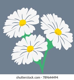 Flower mountain daisy vector illustration