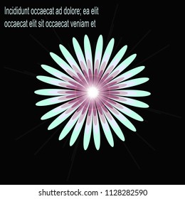 The flower is multi-colored, many petals, light green, light purple. The background is dark black.