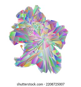Flower multicolored simple rhododendron polygons vector
