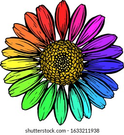 The flower is multicolored. Vector illustration. Ink work.
