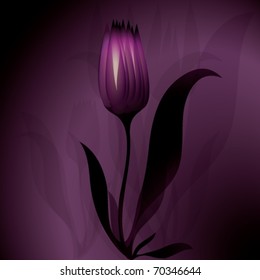 Flower mysterious background Tulip