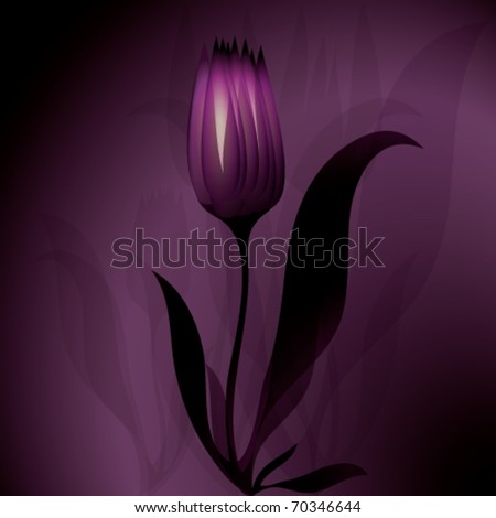 Flower mysterious background Tulip