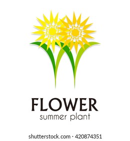 Flower of natural curve abstract vector 