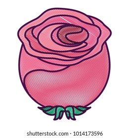 flower natural decoration ornament spring icon