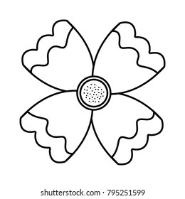 flower natural petal decoration image