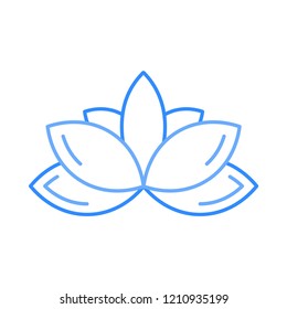 flower  nature  bloom 