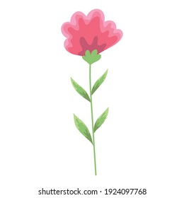 flower nature flora decoration vector illustration white background