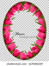 Flower nature frame with a pink tulips on transparent background. Vector