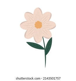 flower nature icon flat white background