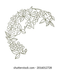 flower nature view vector sketch illustration japanese chinese oriental line art card
