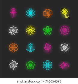 Glowing neon orchid sign floral symbol Royalty Free Vector