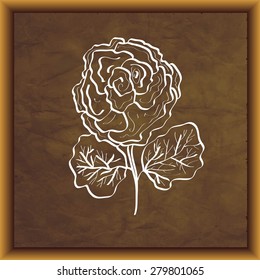 Flower on aged paper texture with frame, vector. 