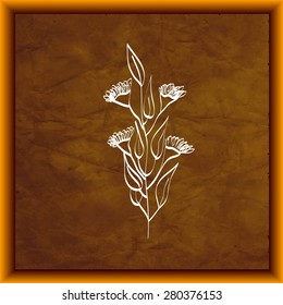 Flower on aged paper texture with frame, vector. 