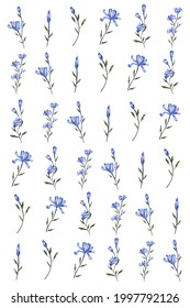 flower on background Elements are isolated on a white background. Design for printing on cards, invitations