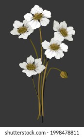flower on background Elements are isolated on a white background. Design for printing on cards, invitations