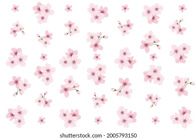 flower on background Elements are isolated on a white background. Design for printing on cards, invitations