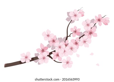 flower on background Elements are isolated on a white background. Design for printing on cards, invitations