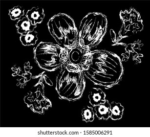 flower on a black background