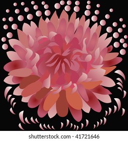 Flower on a black background