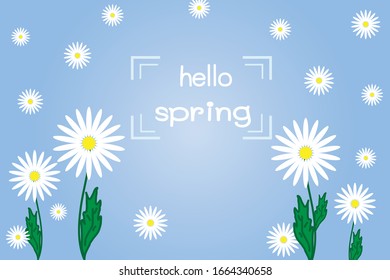 flower on blue background of spring.