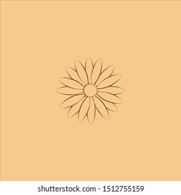 Flower on a brown background.