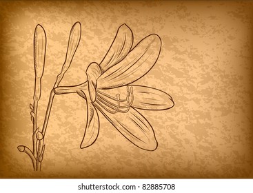 flower on the brown paper