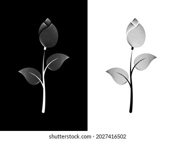 Una flor en un fondo contrastante. Fondo blanco y negro en dos versiones. Vector
