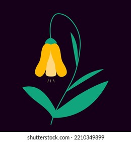 
A flower on a dark background