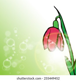 Flower on green background with rays